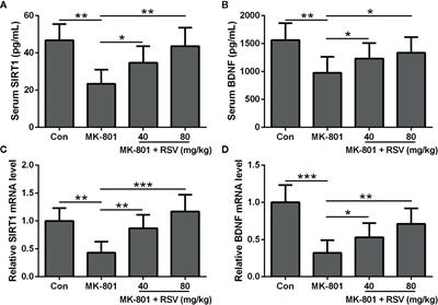 Resveratrol, a SIRT1 Activator, Ameliorates MK-801-Induced Cognitive and Motor Impairments in a Neonatal Rat Model of Schizophrenia